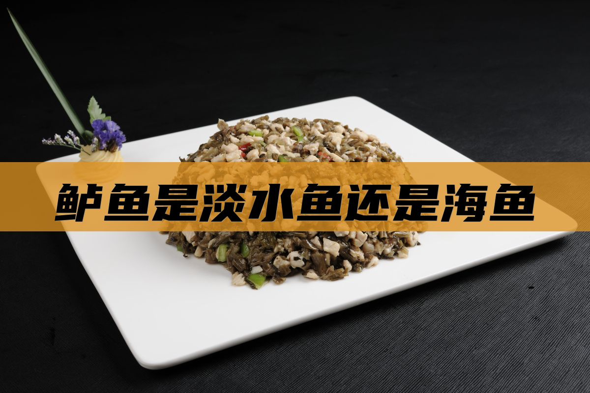 鲈鱼是淡水鱼还是海鱼