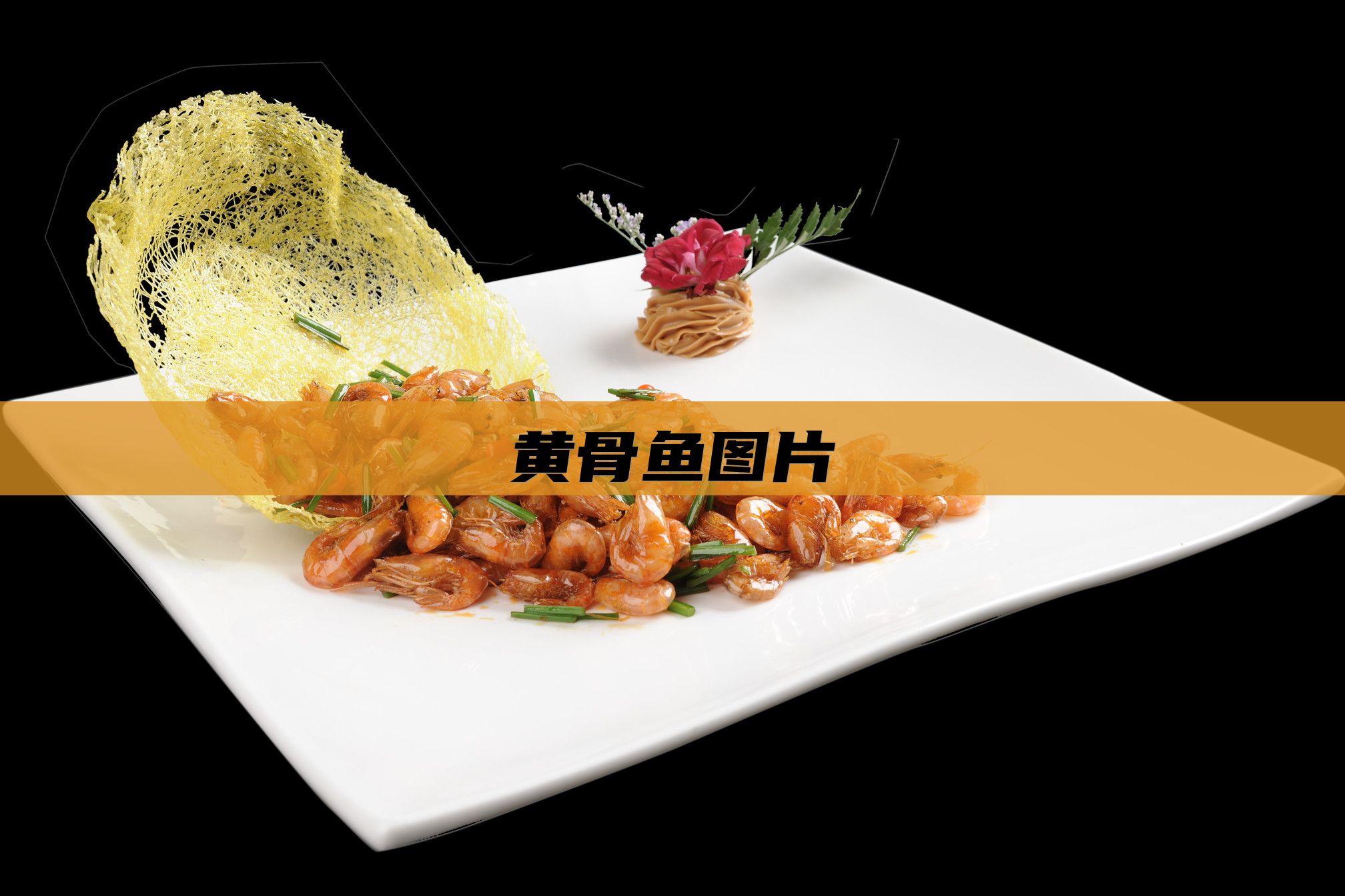 黄骨鱼图片