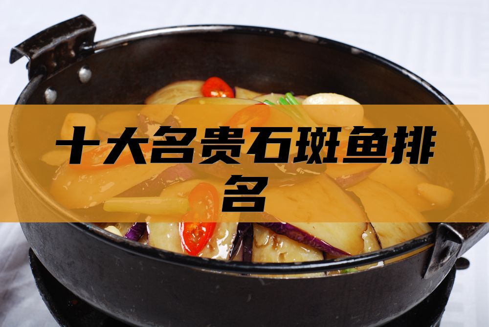 十大名贵石斑鱼排名