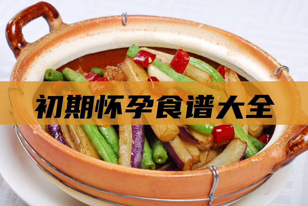初期怀孕食谱大全